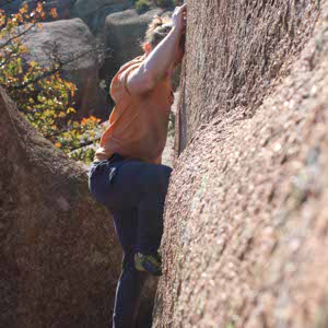 Garrett Sullins profile
