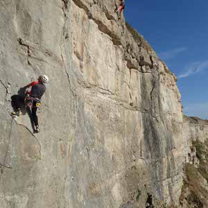 Stuart Allen profile