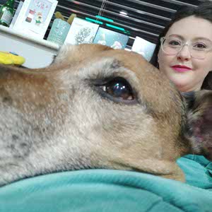 Claire Minehane profile
