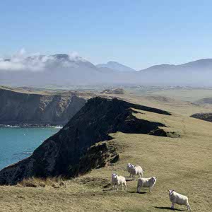 David Fleck profile