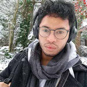 Ferdinand Peeters profile