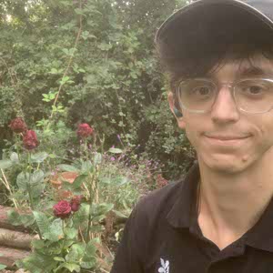 Declan Wild profile