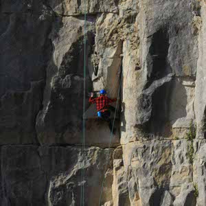 Hamish Adamson profile