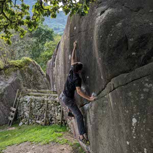Alex Hoad profile