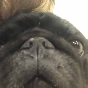 Oliver Amery profile
