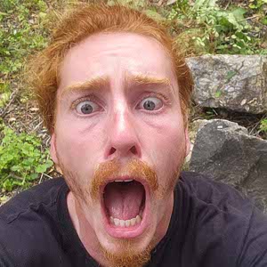 David Rodgers profile