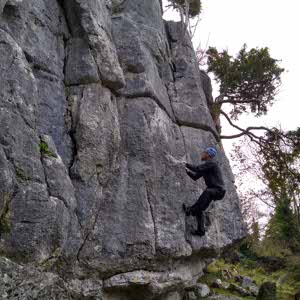 Jonathan Bean profile