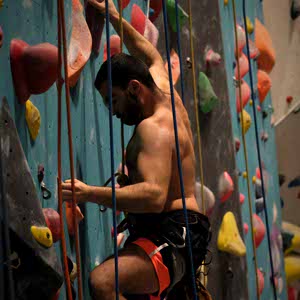 Sylvain Landi profile