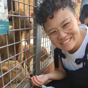 C Chiu profile