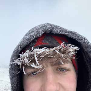 Ed Lamb profile