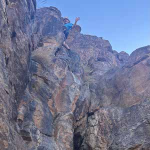 Lewis Muirhead profile