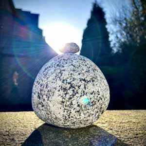 Gavin Birchall profile