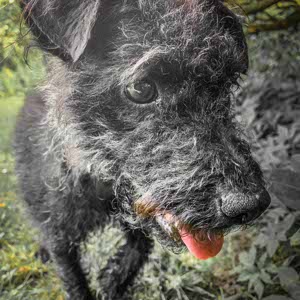 Andy Harrison profile