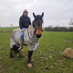 Harry Rudkin profile