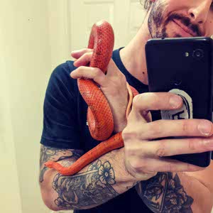 Adam Bell profile