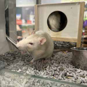 Christopher Booth profile
