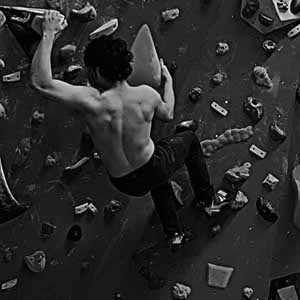 Ryan Law profile