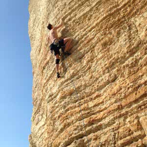 Phil Haigh profile