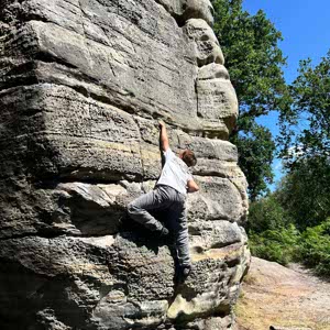 Dylan Lloyd profile
