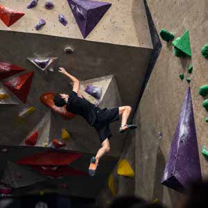 Zac Harrold profile
