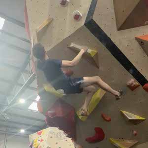 Zac Harrold profile