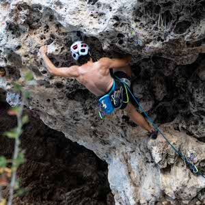Wayne Magri profile