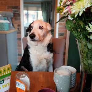 Carl Cartlidge profile