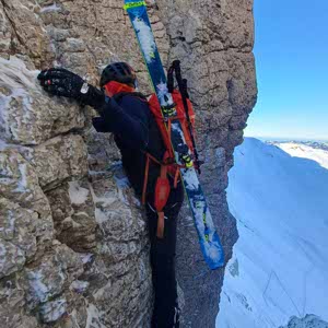 Florian Steiner profile