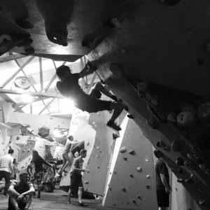 Huw Garrod profile