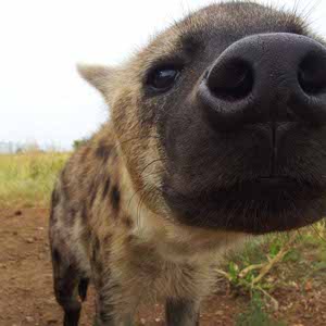 Kyle McReynolds profile