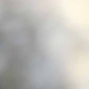 Theo Hart-Jones profile
