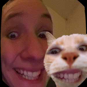Tilly Harrington profile