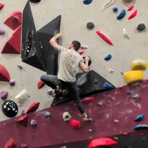 Alex Rayner profile
