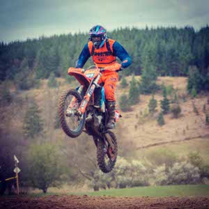 Max Eilledge profile