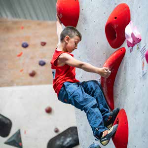 Alex Ladha profile