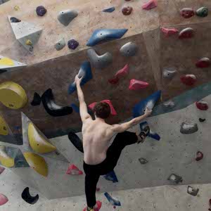 Tom Coulthard profile