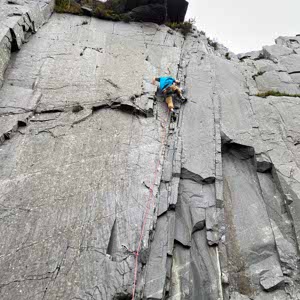 James Cartlidge profile