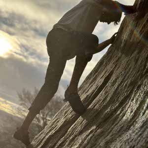 Harry Levene profile