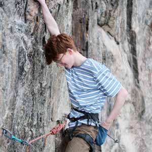 Harris Walmsley profile