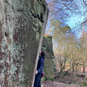 Tom Ferrington profile