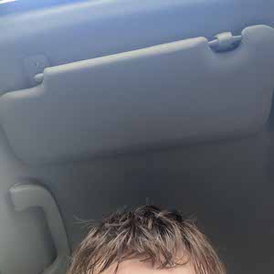 Sebastian Petersson profile