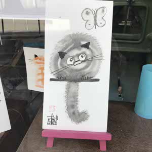 Sam Steggall profile