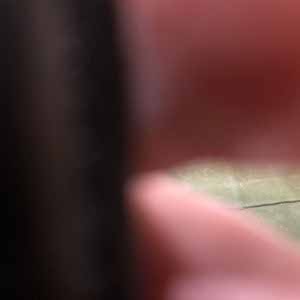 Andy Little profile