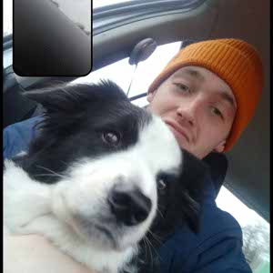 Jack Doyle profile