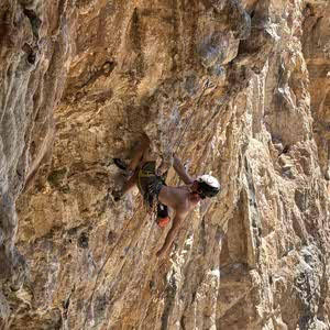 Ashley Mepham profile