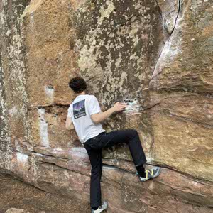 Harry Follis profile