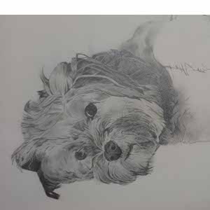 Jill Pendlebury profile