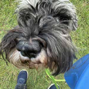 Toby Caton profile