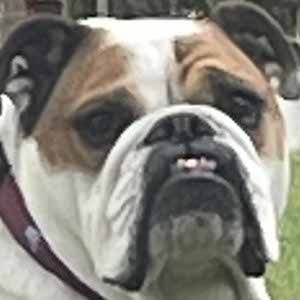 Leo Green profile