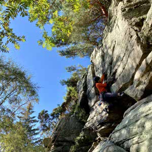 Enze Zhang profile